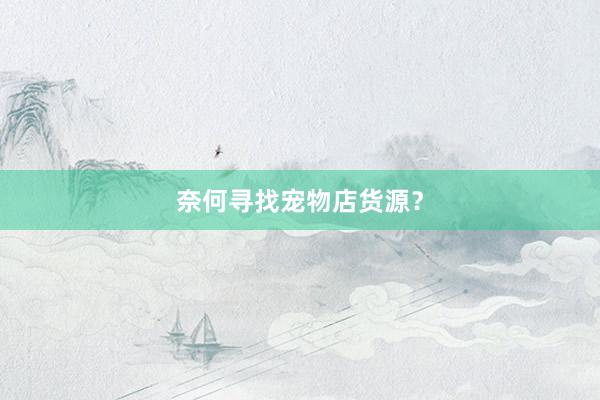 奈何寻找宠物店货源？