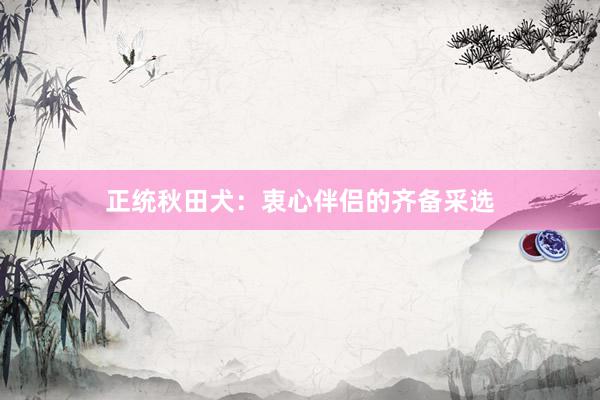 正统秋田犬：衷心伴侣的齐备采选